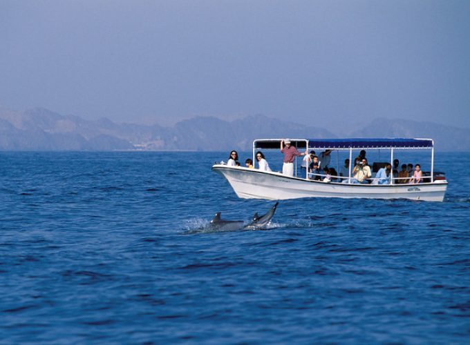 Dolphin Watching Muscat