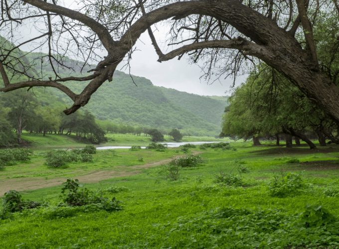 tropical-paradise-salalah-tour